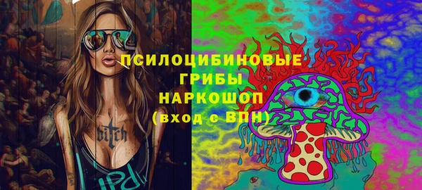 дурь Алексин