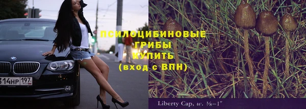 Альфа ПВП Алзамай